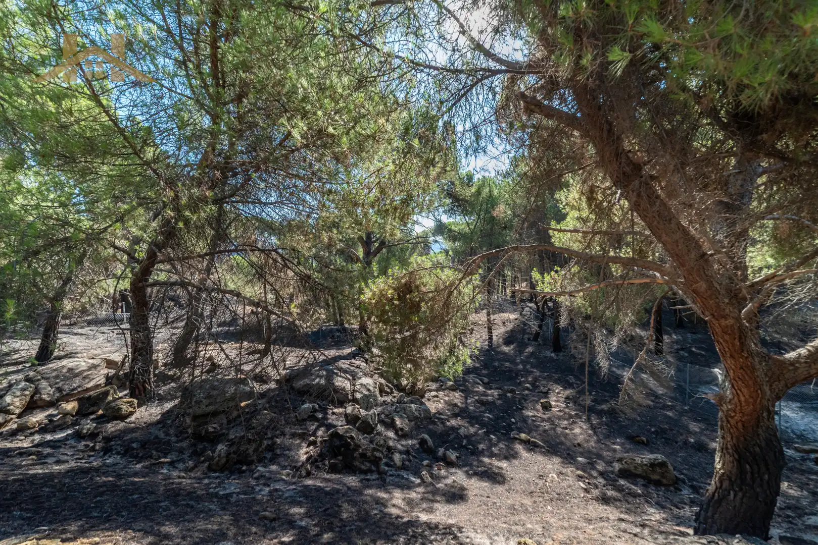 Terreny residencial en venda a San Martín de Valdeiglesias, imagen 4
