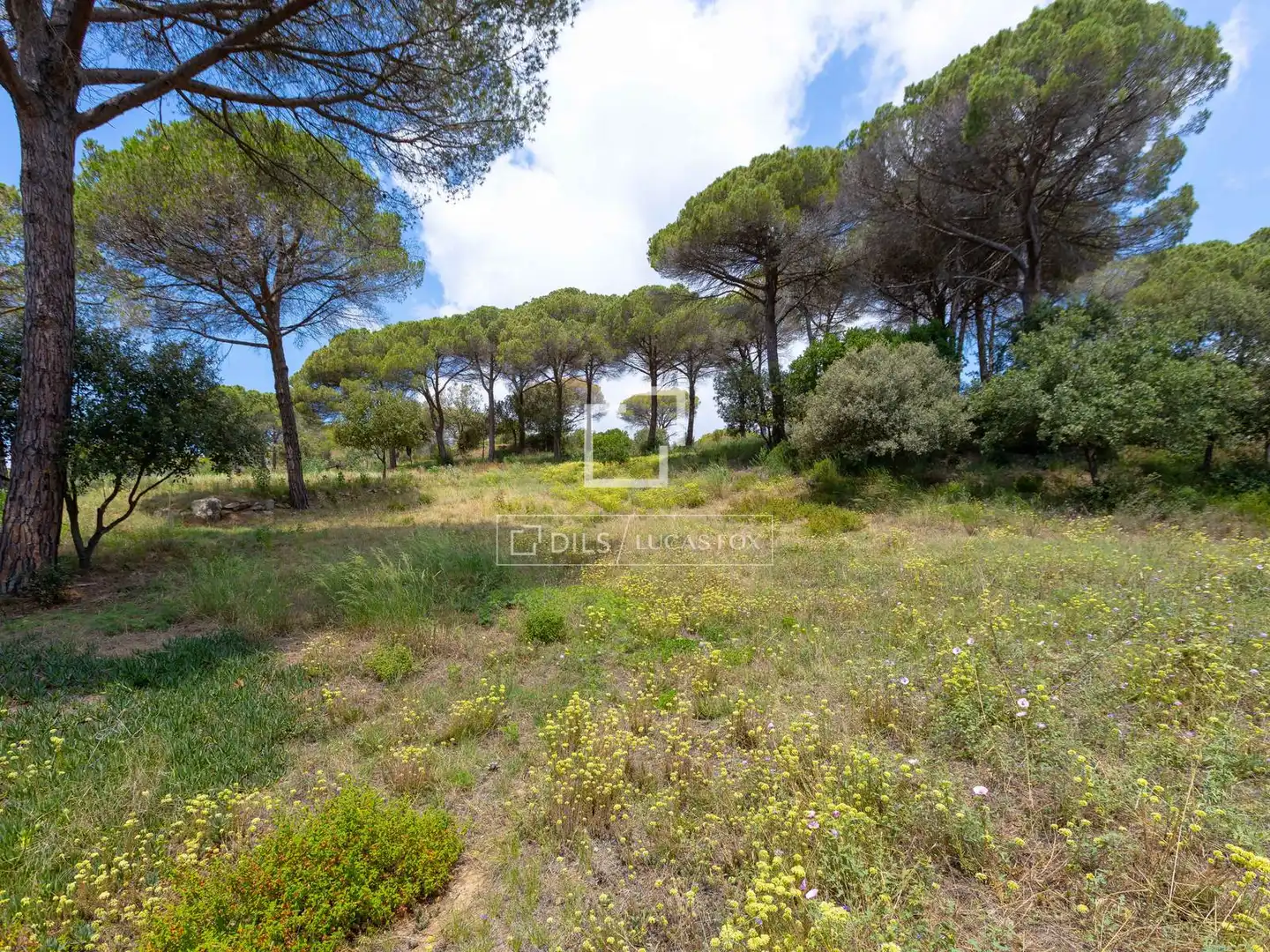 Rural land for sale in Vallromanes, imagen 19