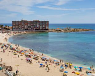 Vista exterior de Estudi en venda en Torrevieja amb Aire condicionat, Terrassa i Balcó