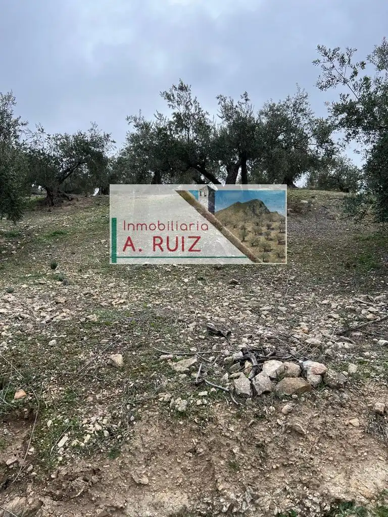 Terreny rústic en venda a Priego de Córdoba, imagen 9