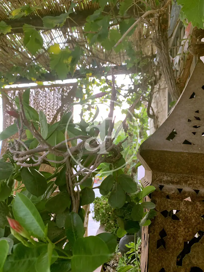 Jardí de Finca rústica en venda en Torremanzanas / La Torre de les Maçanes amb Calefacció, Jardí privat i Terrassa