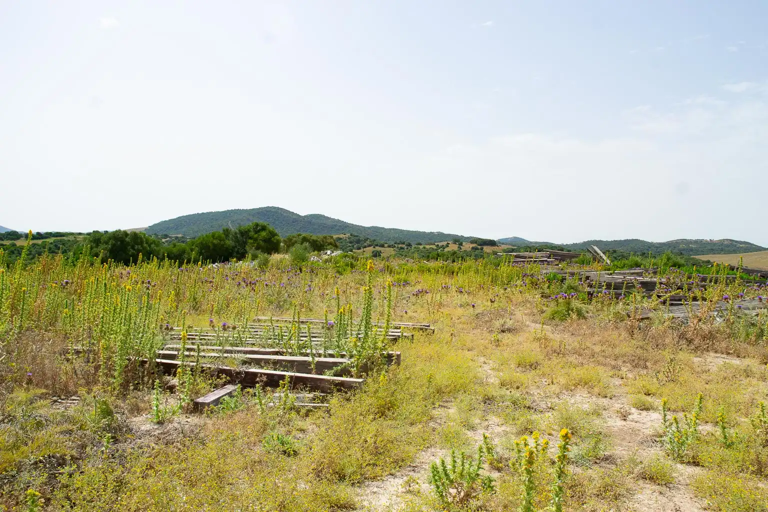 Terreny residencial en venda a Medina Sidonia, imagen 15