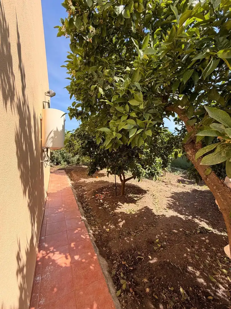 Jardín de Casa o chalet en venta en Paradas