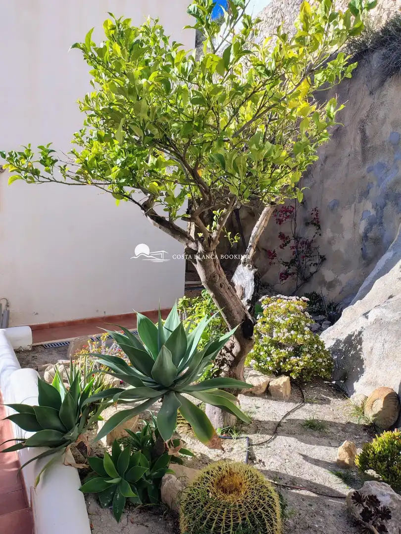 Jardí de Casa o xalet en venda en Villajoyosa / La Vila Joiosa amb Aire condicionat, Jardí privat i Piscina