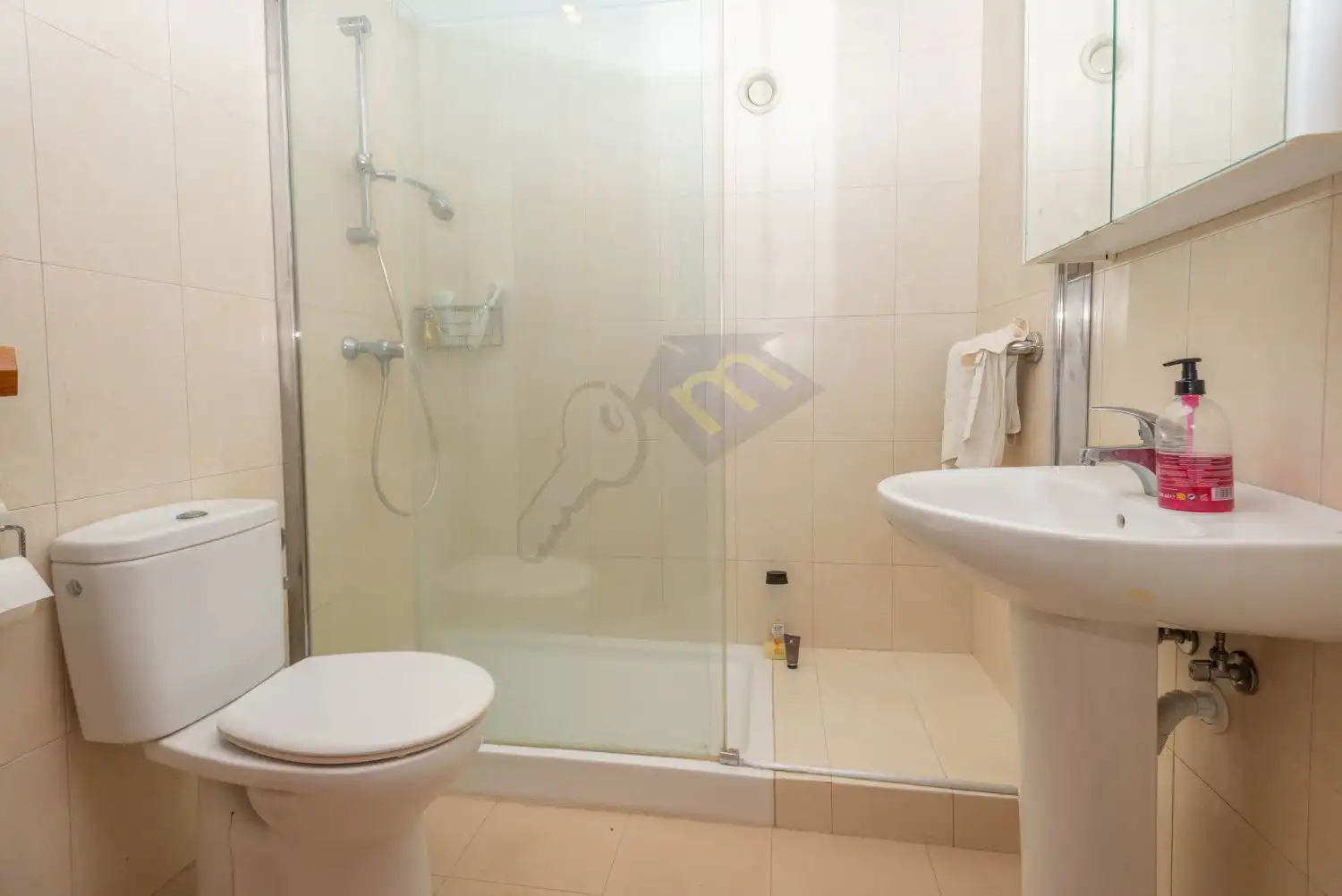 Apartament amb terrassa en venda a Juan Carlos I 26, imagen 9