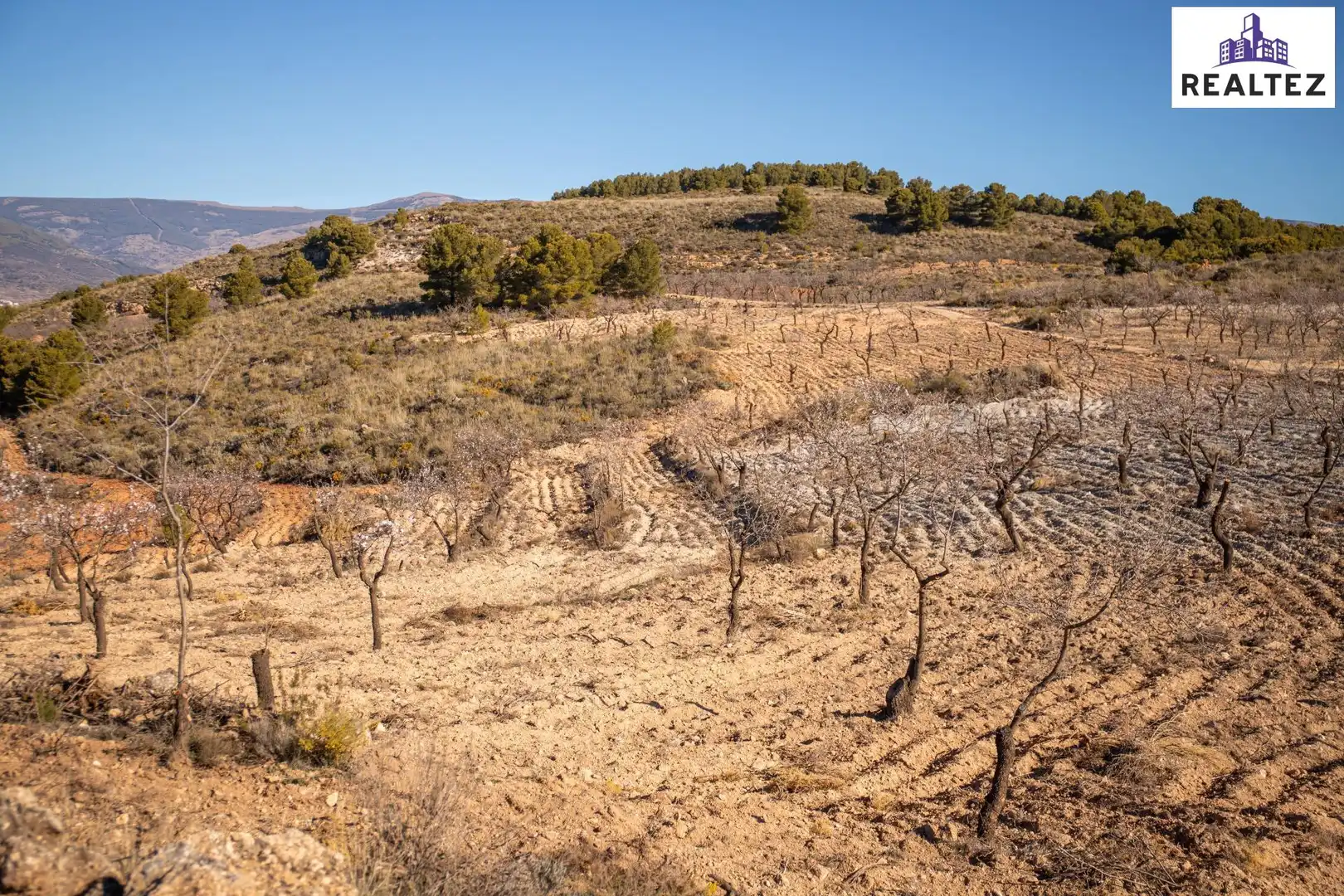 Rural land for sale in Laujar de Andarax, imagen 5