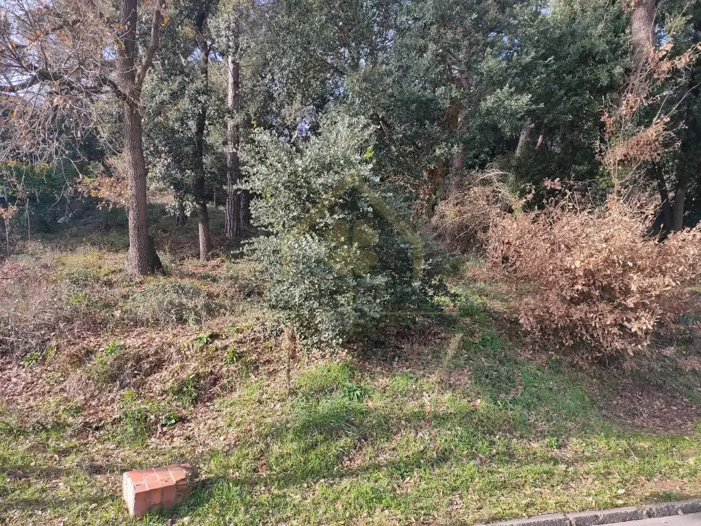 Residential for rent in Sant Pere de Vilamajor