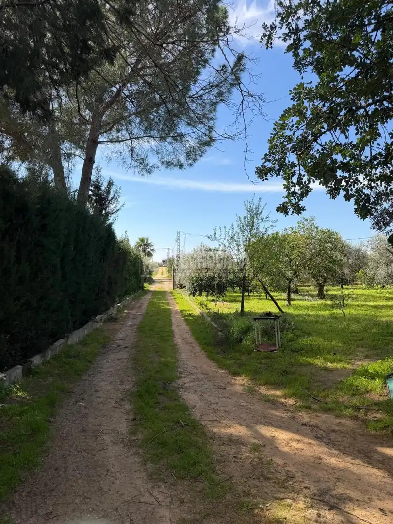 Garten von Country house zum Verkauf in Utrera mit Klimaanlage und Heizung
