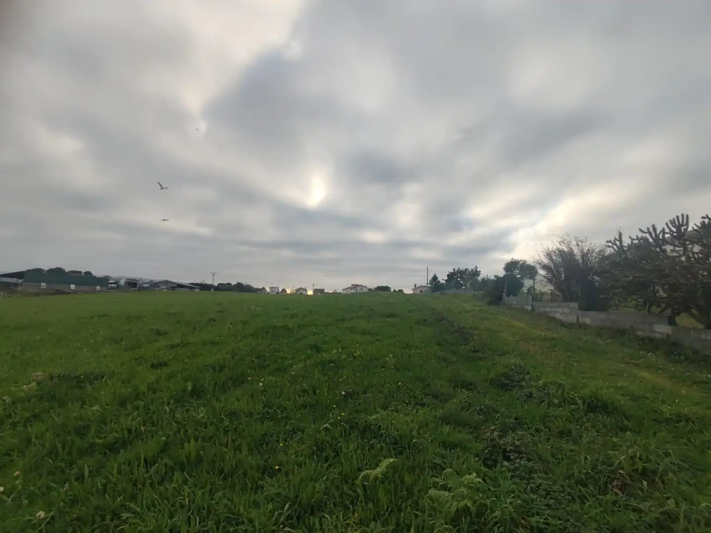Grundstücke und Bauplätze zum Verkauf in Polígono 4 Parcela 520 CP LA MARINA TAPIA DE CAS, imagen 10
