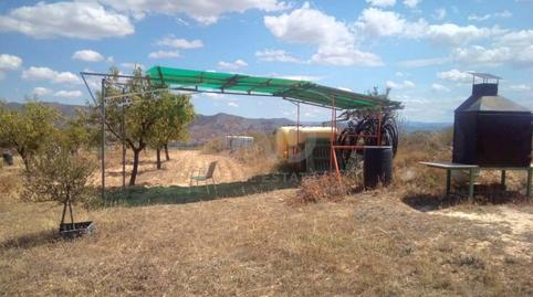 Photo 2 of Land for sale in Riba-roja d'Ebre, Tarragona