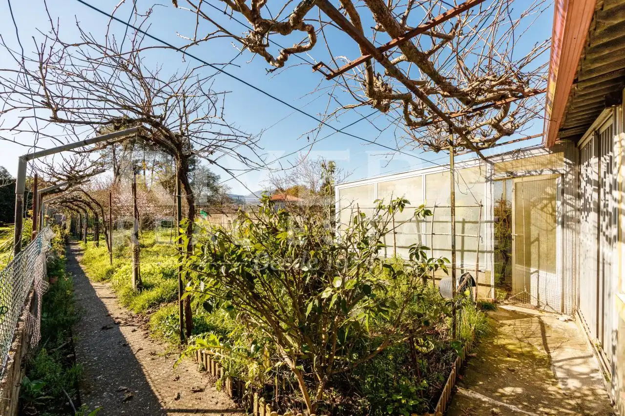 Jardín de Casa o chalet en venta en Nigrán con Calefacción, Terraza y Trastero