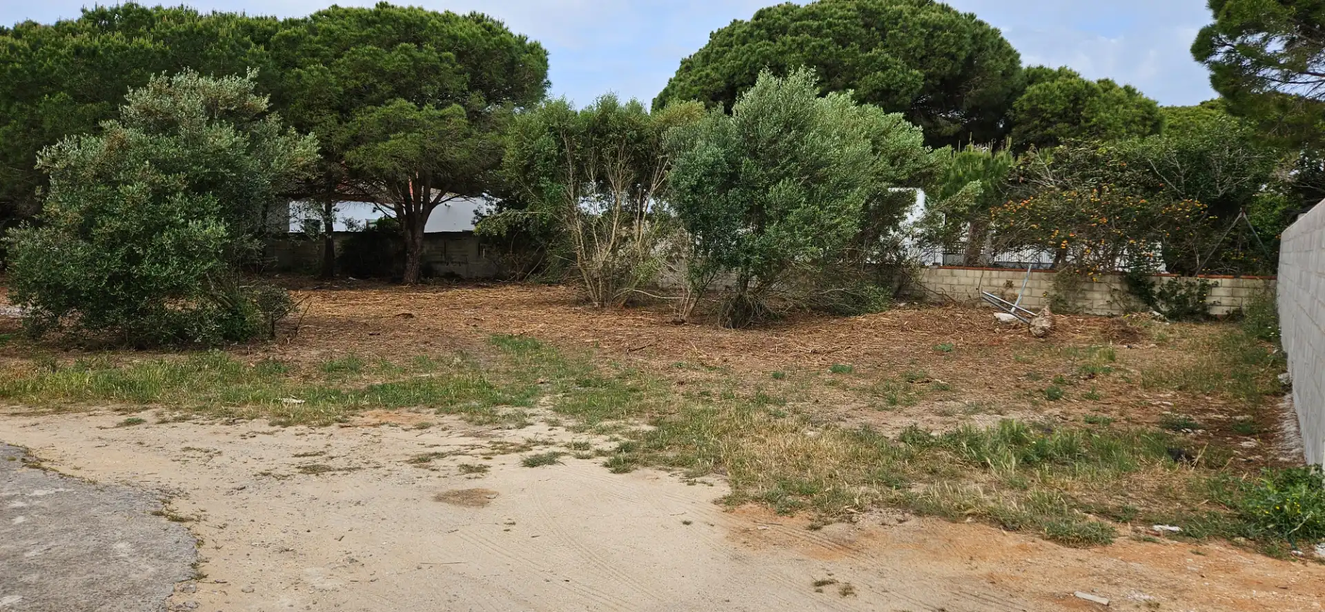 Terrenys i solars en venda a Las Lagunas - Campano, imagen 3