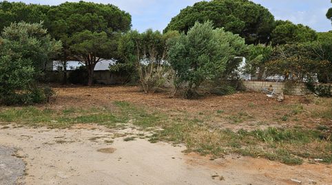 Foto 3 de Terreny en venda a Las Lagunas - Campano, Chiclana de la Frontera