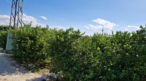 Photo 5 of Country house for sale in Villanueva del Río Segura, Murcia