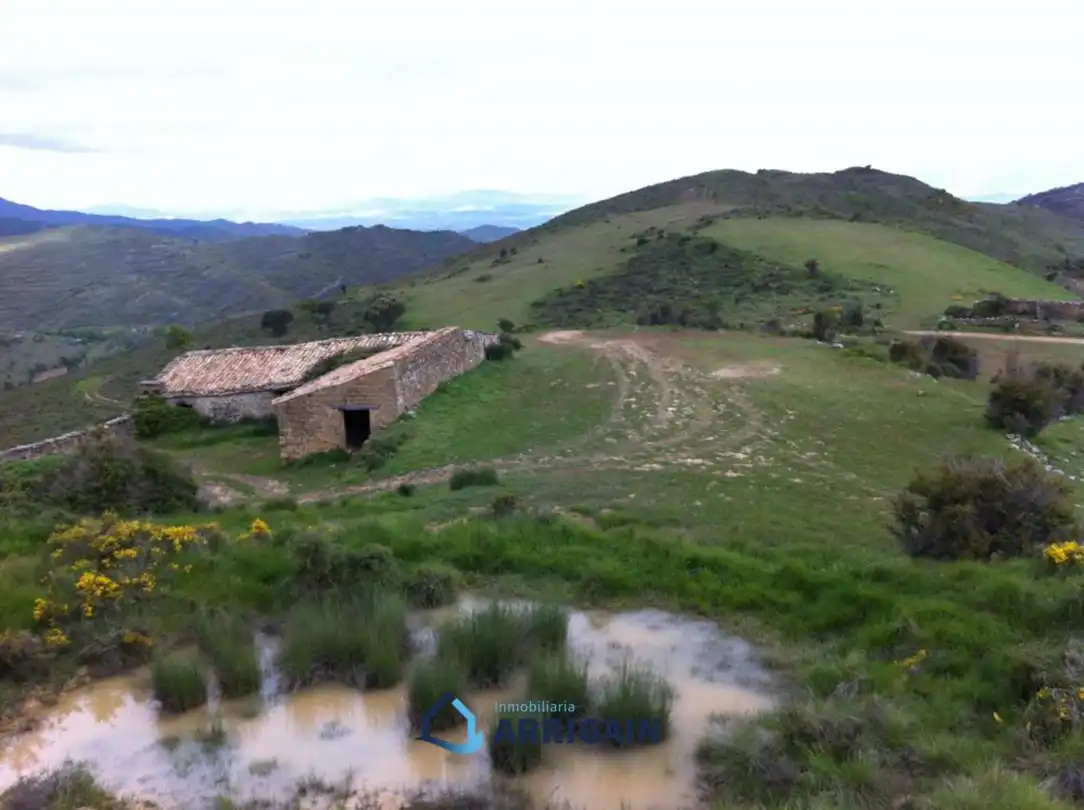 Casa o chalet en venta en La Moraleja con Jardín privado