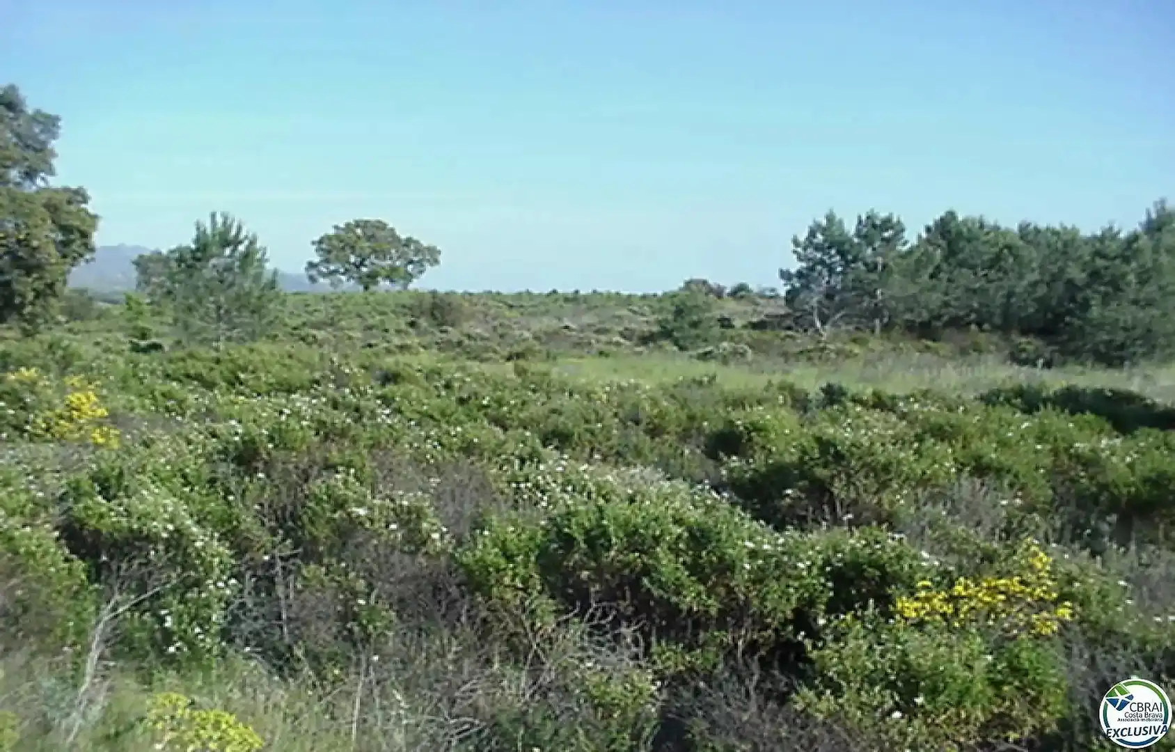 Terreno residencial en venta en Butaros, imagen 16