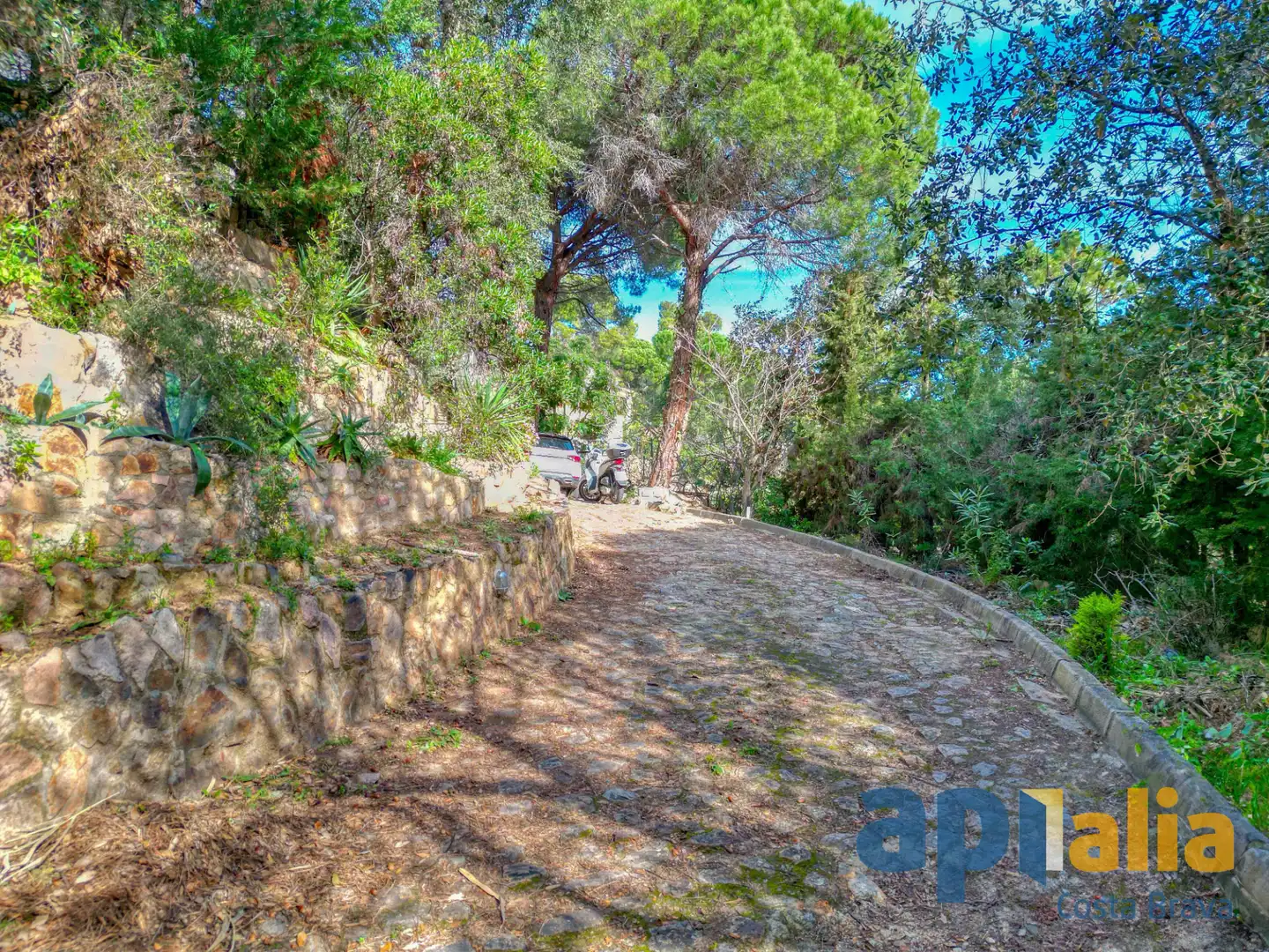 Vista exterior de Casa o chalet en venta en Sant Feliu de Guíxols con Calefacción, Jardín privado y Terraza
