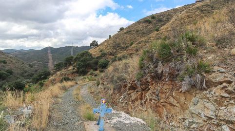 Terreno Cerca del popular pueblo de Monda., immagine 5
