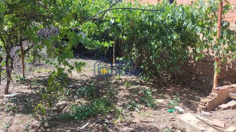Foto 3 de Finca rústica en venta en Onzonilla, León