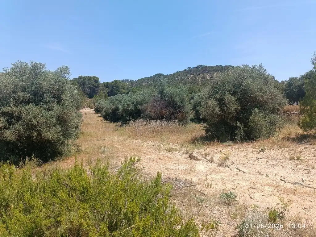 Rural land for sale in N/A