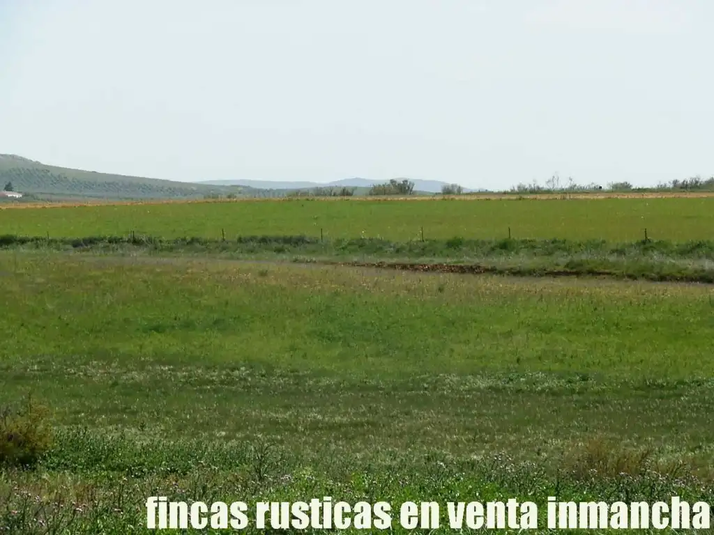 Terreno rustico in vendita a Centro - Plaza Mayor, imagen 9