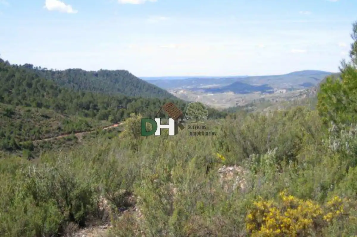 Terreni e lotti in vendita a San Fernando - Carretera de Valencia, imagen 6