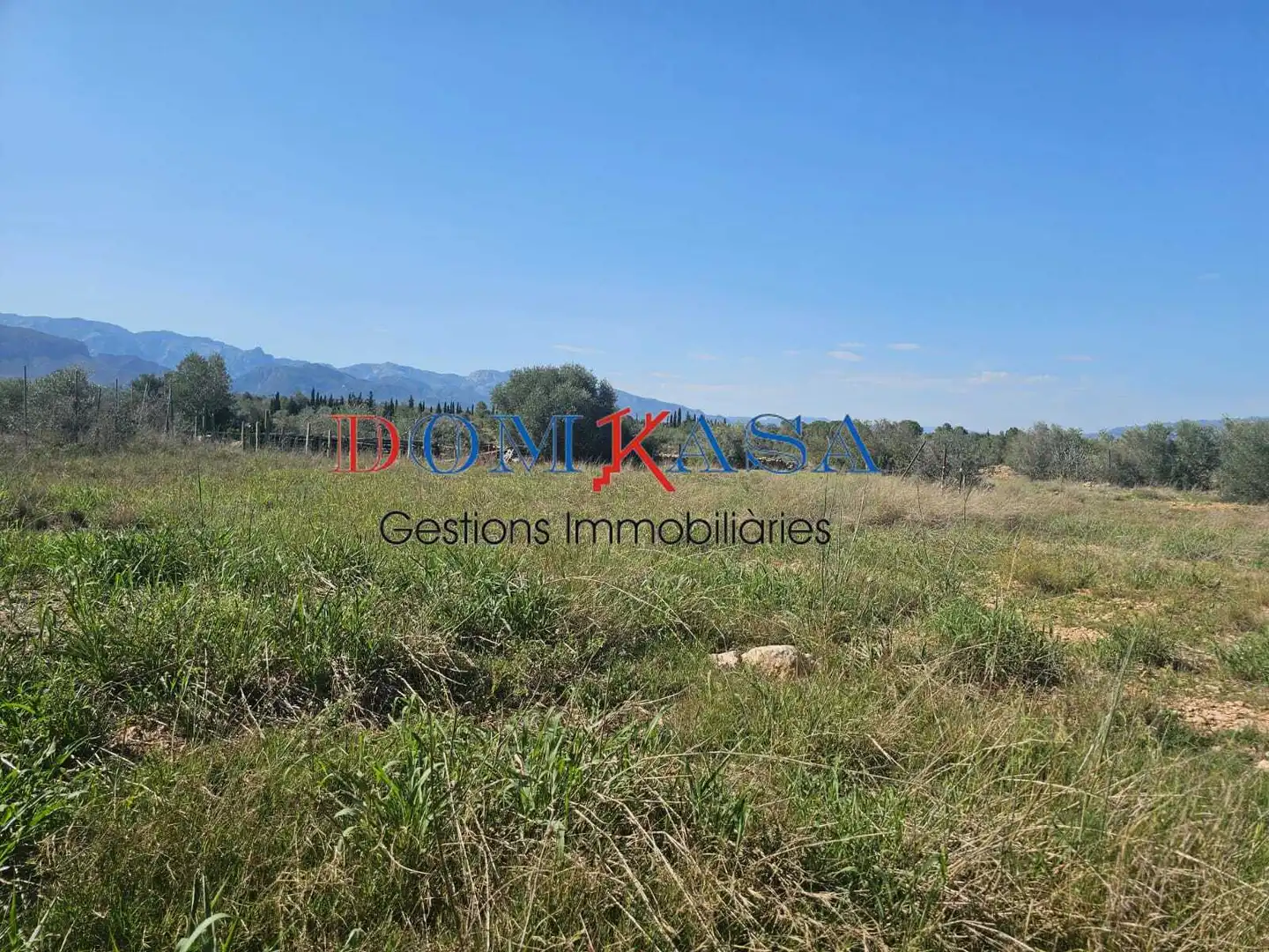 Rural land for sale in Roquetes, imagen 7