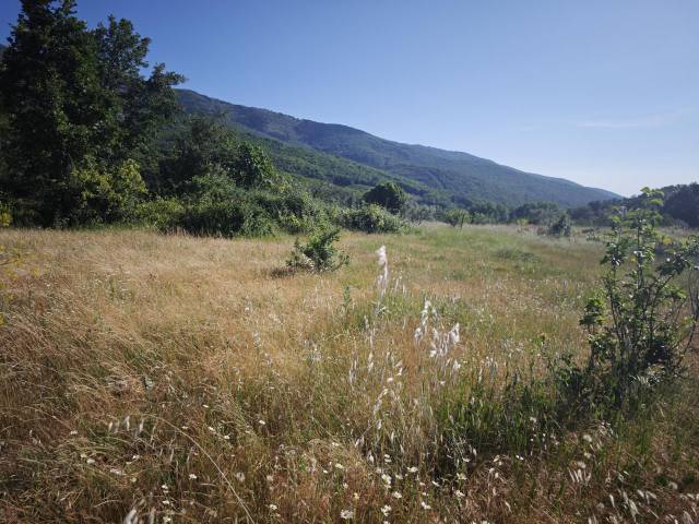 Terreno en Venta en Polígono 6 Parcela 67 CABEZO. HERVAS (CÁCERES) en Hervás