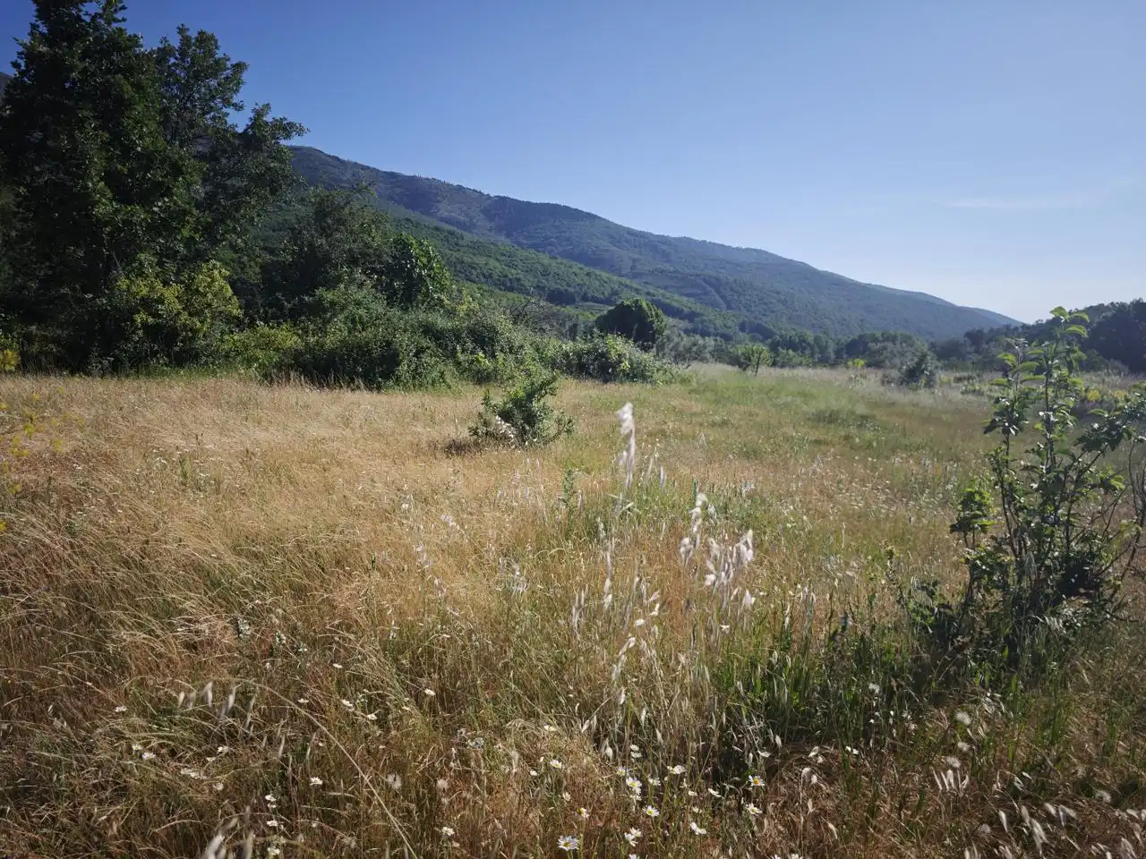 Terreni e lotti in vendita a Polígono 6 Parcela 67 CABEZO. HERVAS (CÁCERES)
