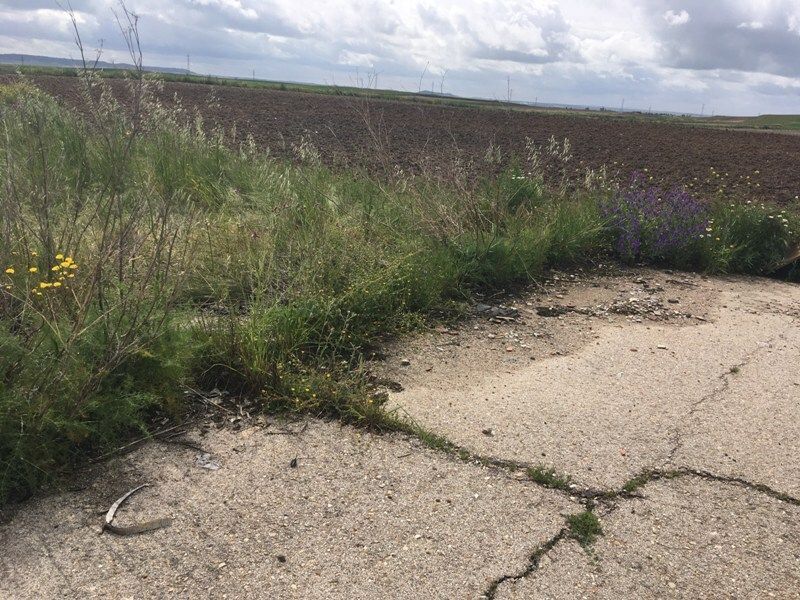 Land for sale in Torrejón de la Calzada