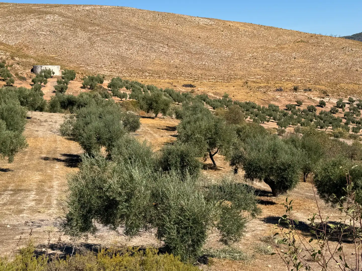 Terreno rustico in vendita a Camino de la Sierra, imagen 15