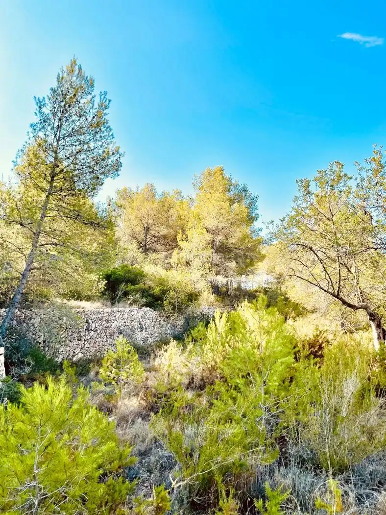 Rural land for sale in Calle Piscina 3305, imagen 11