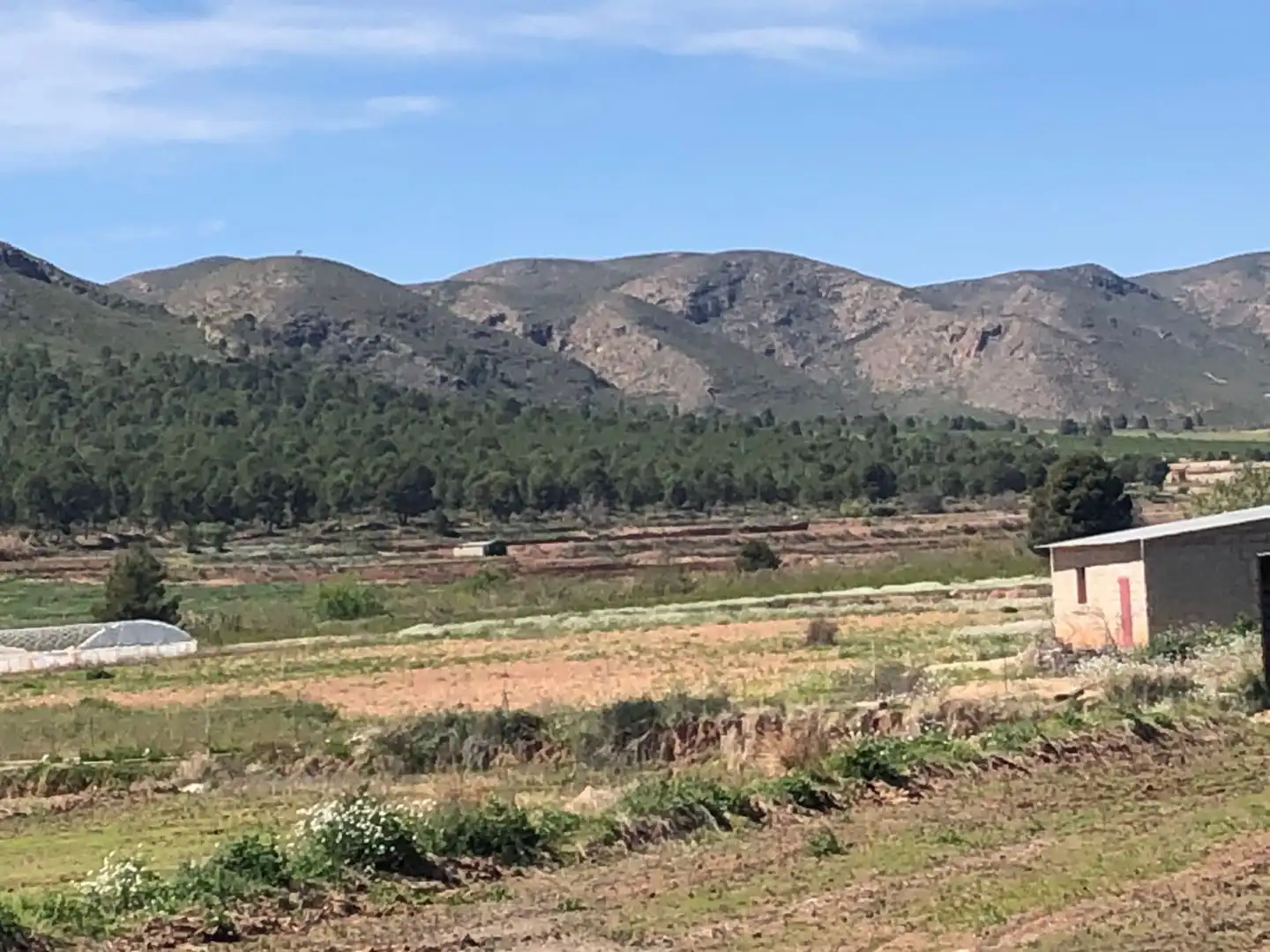 Casa rústica en venda a Hellín, imagen 5