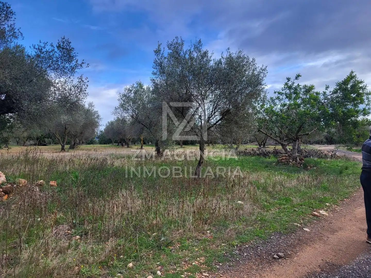 Terreno rustico in vendita a Cabanes, imagen 3