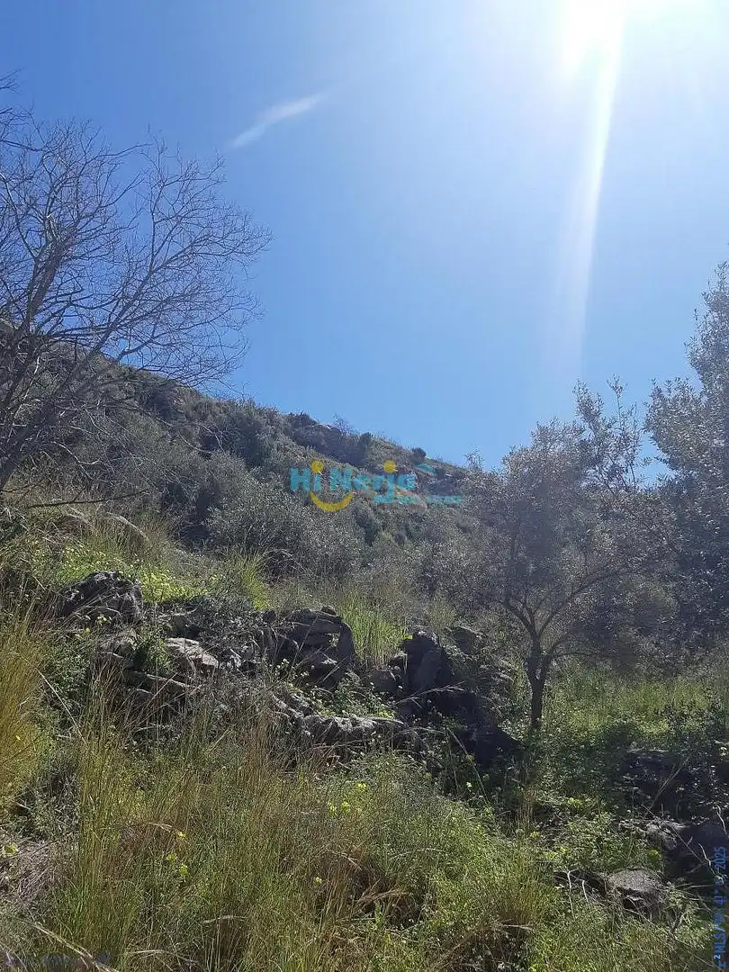 Terreni e lotti in vendita a Torrox Pueblo, imagen 13