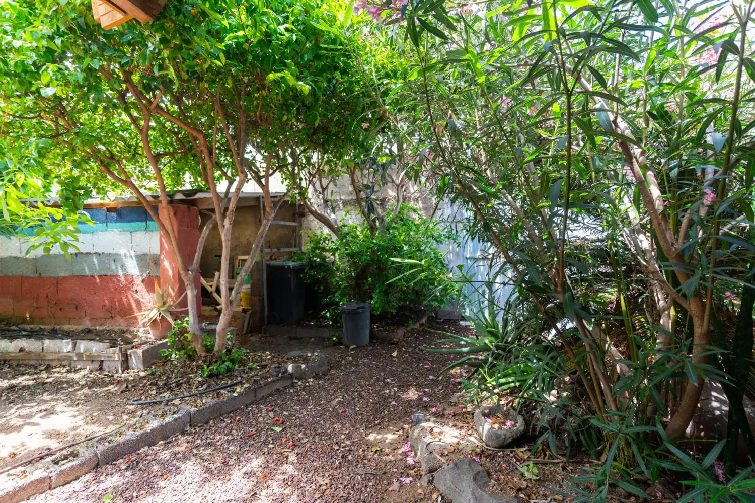 Jardí de Casa o xalet en venda en Buenavista del Norte