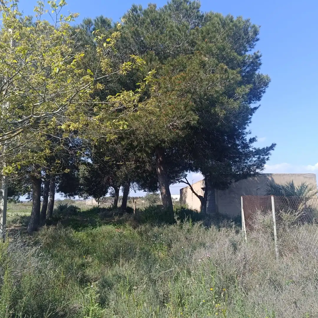 Terrain rustique à vendre à La Marina, imagen 26