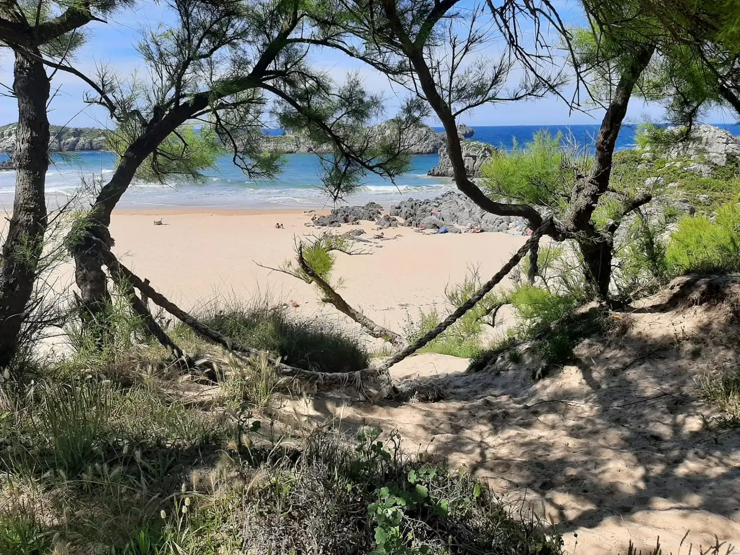 Vista exterior de Planta baja en venta en Noja con Calefacción, Jardín privado y Terraza