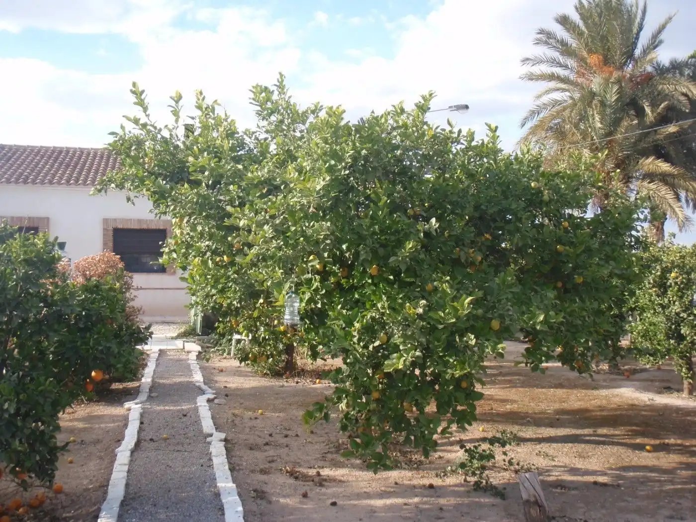 Jardí de Casa o xalet en venda en Cartagena amb Aire condicionat, Calefacció i Terrassa