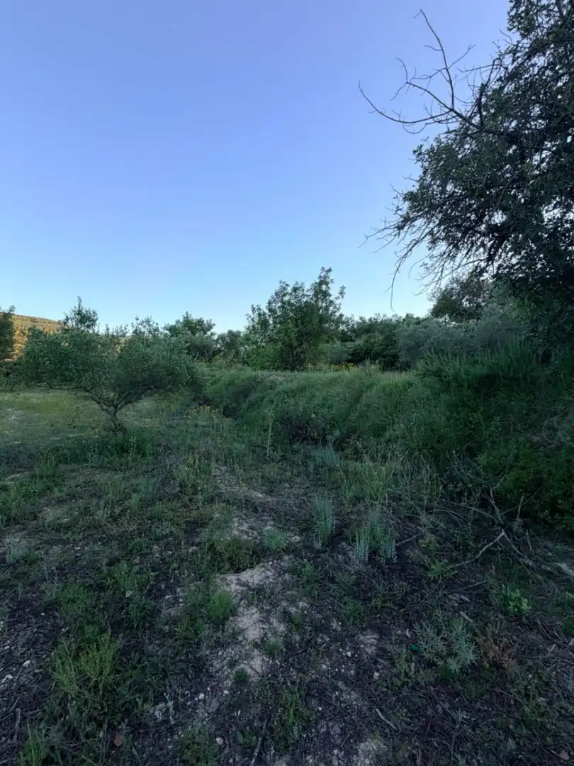 Country homes for sale in Atzeneta d'Albaida