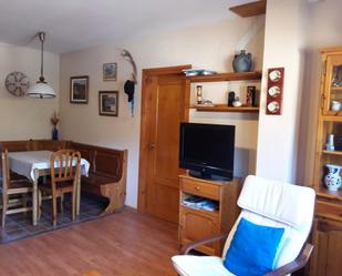 Sala d'estar de Dúplex de lloguer en Alp amb Calefacció, Parquet i Traster
