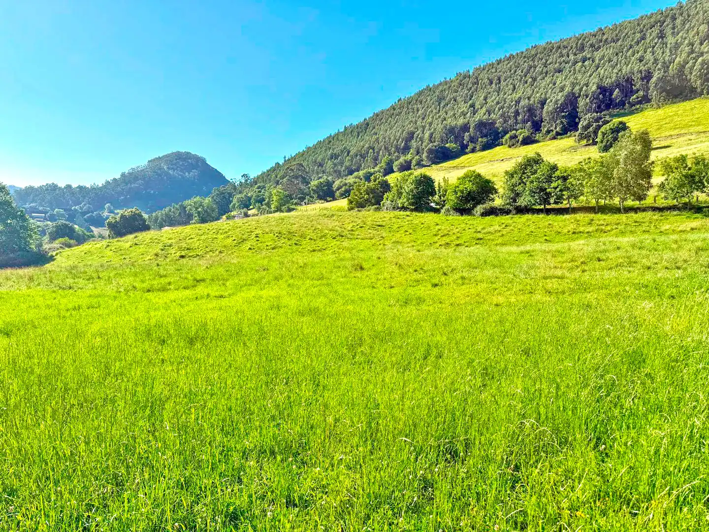 Terreno en venta en Medio Cudeyo