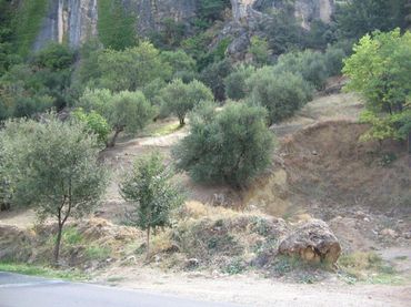 Residential land for sale in Carretera de la Sierra 28