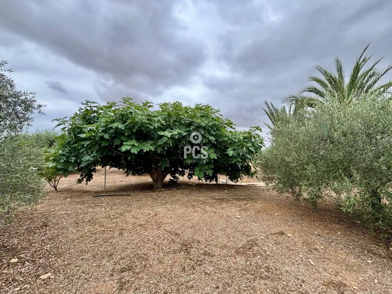 Chalet con jardín en venta en Travesia Zona Llano de las Cabras - Aledo S/N, imagen 10