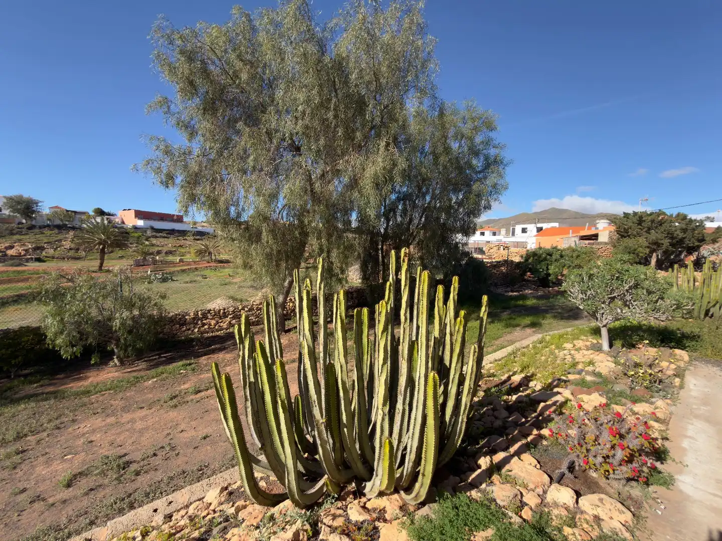 Jardín de Finca rústica en venta en Tuineje con Piscina