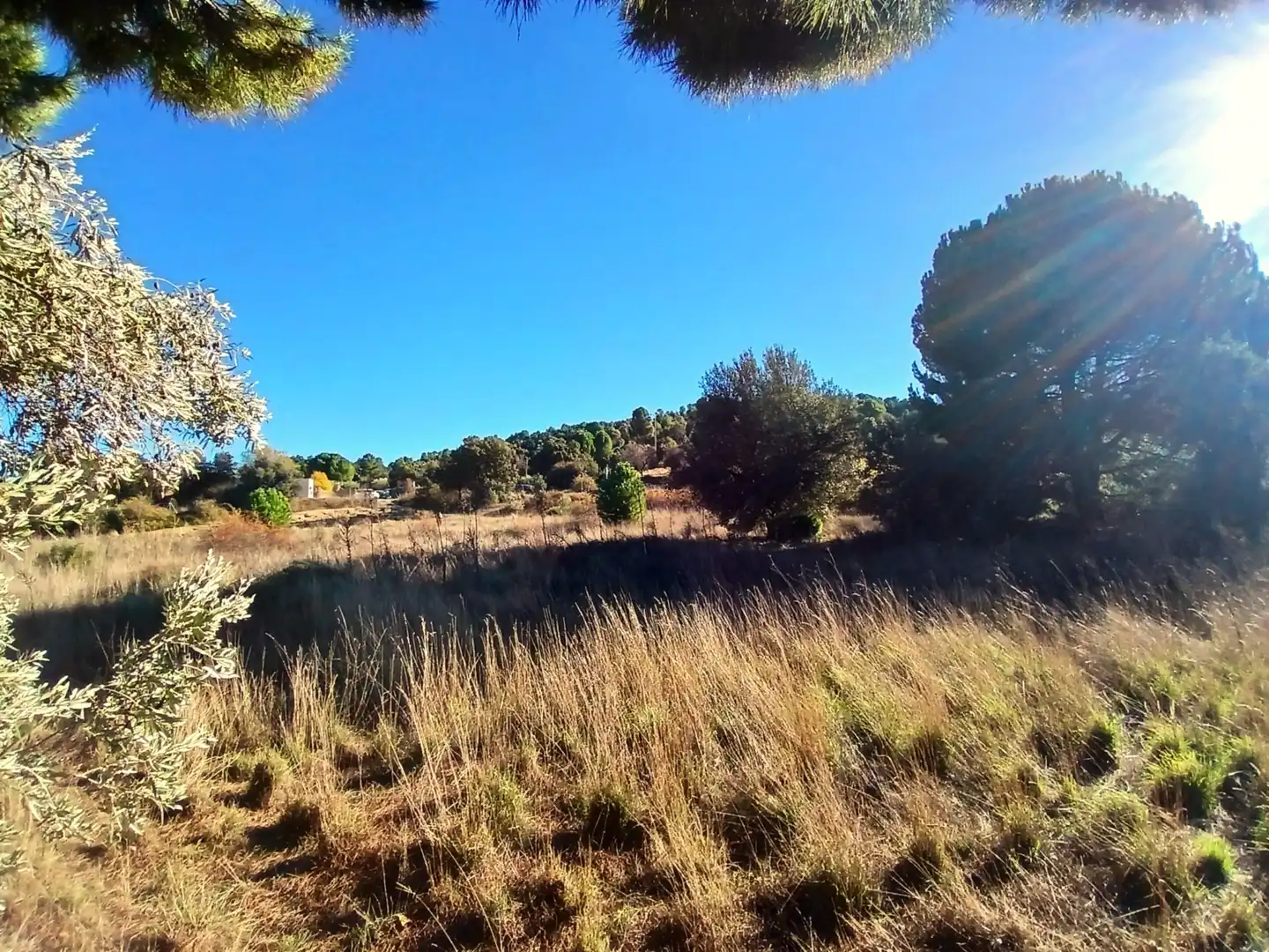 Rural land for sale in M-501, imagen 7