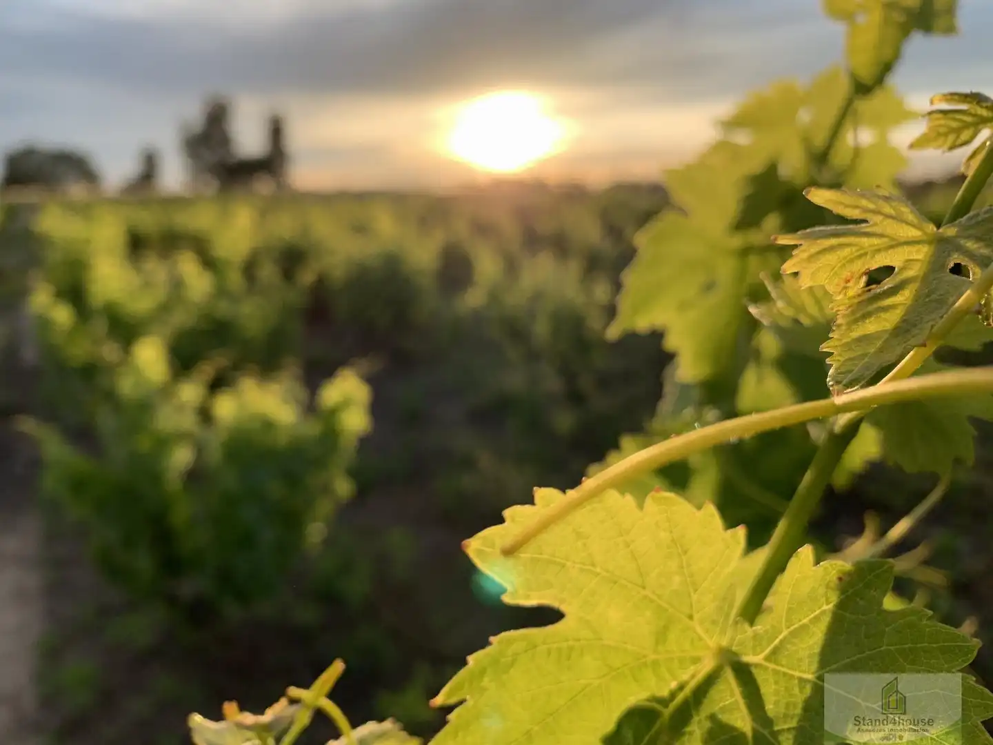 Vista exterior de Finca rústica en venda en Rociana del Condado amb Terrassa i Traster