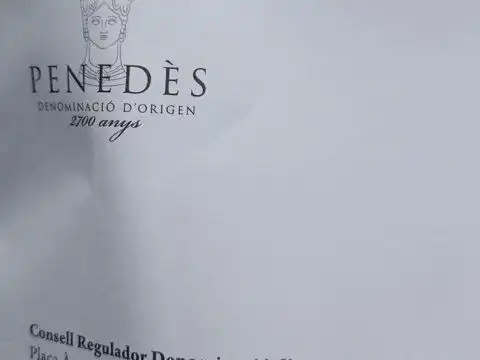 Rustikales Grundstück zum Verkauf in Rebato 1, imagen 6