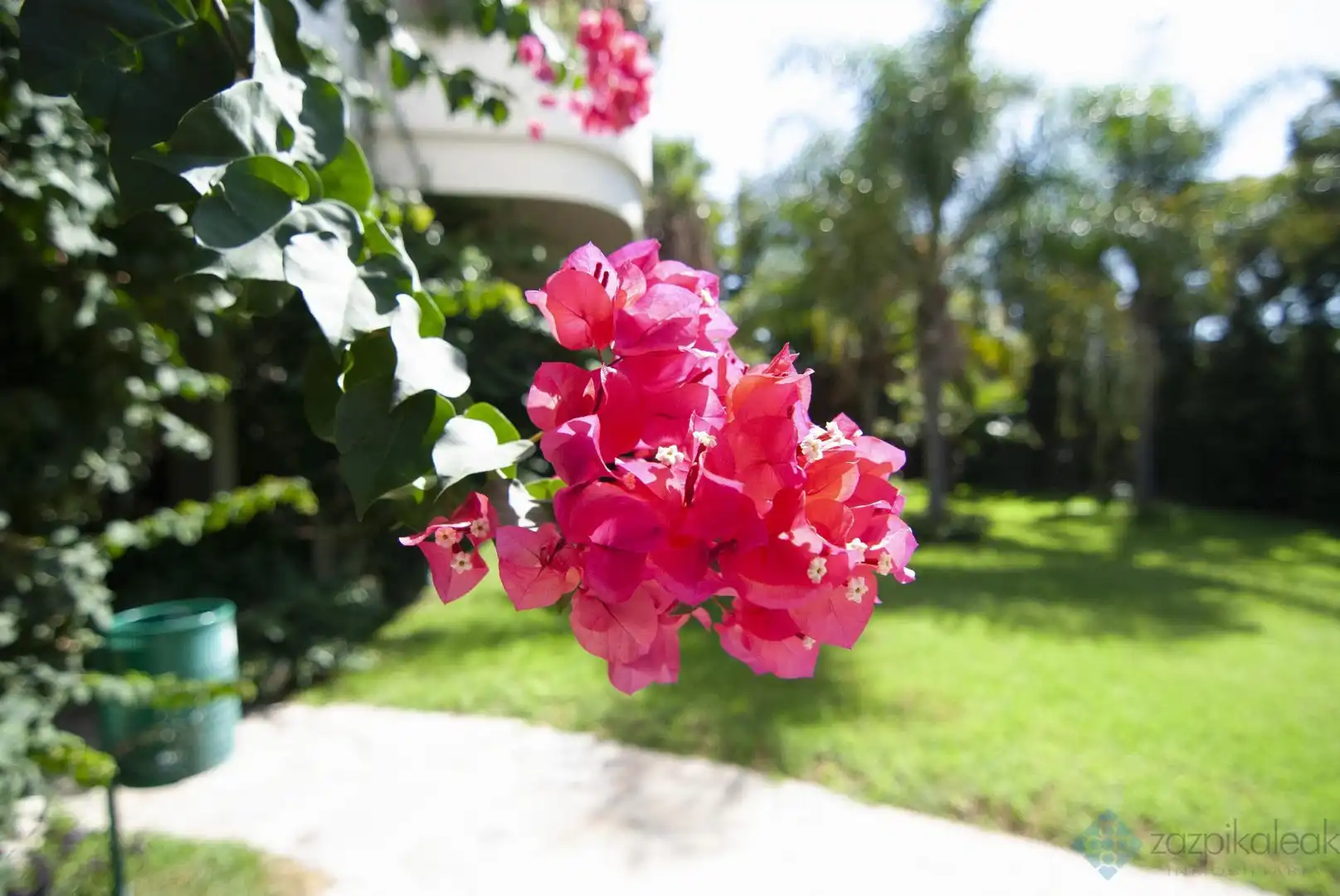 Flat with terrace for sale in Iris-ur nva andalucia, imagen 6