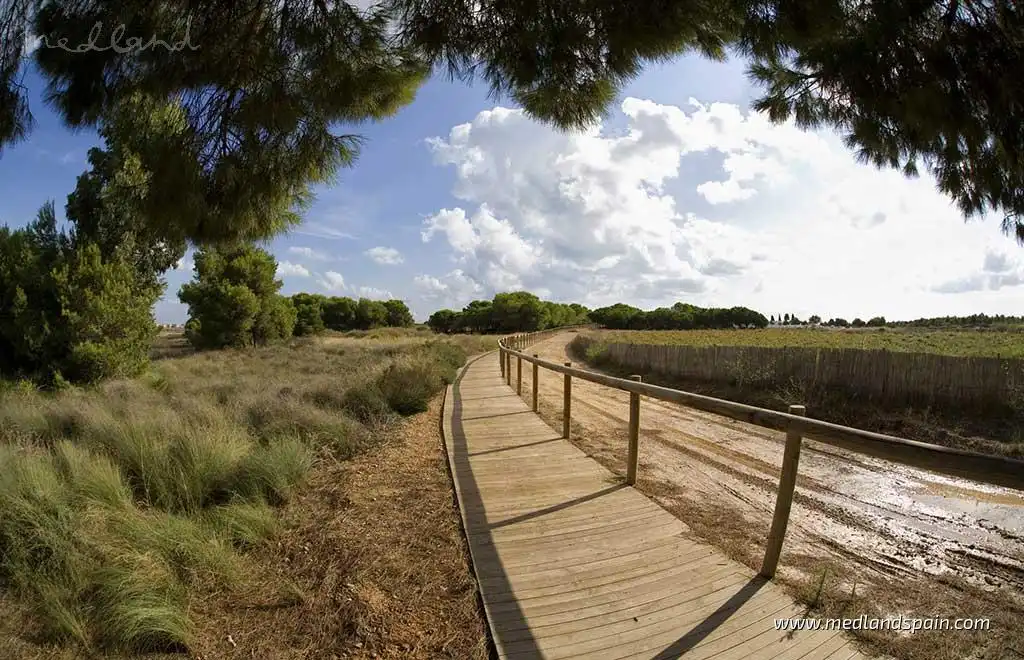Apartment with pool for sale in La Mata, imagen 12